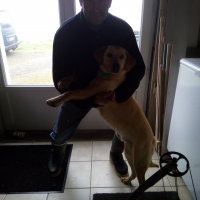 Photo #274978 de HOOPER