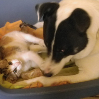 Photo #274986 de LUCKY
