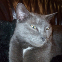 Photo #275006 de Kaïla
