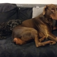 Photo #275078 de IALA