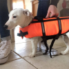 Prête pour faire du canoe