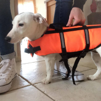 Photo #275099 de Lola