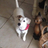 Photo #275100 de Lola