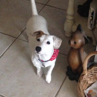 Photo #275100 de Lola