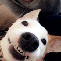 Photo #275103 de Lola