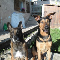 Photo #275168 de Etna