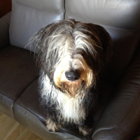 sortie de bain