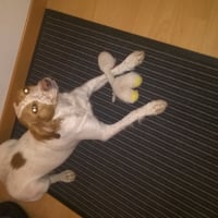 Photo #275230 de Mila