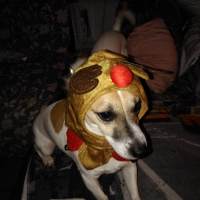 Photo #275254 de louna