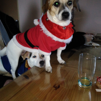 Photo #275255 de louna