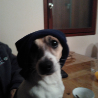 Photo #275256 de louna