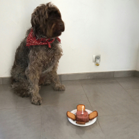 Photo #275319 de Gustave
