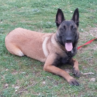 Photo #275331 de MASKA