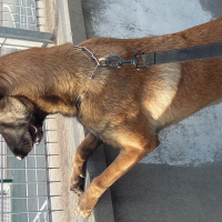 Photo #275333 de MASKA