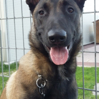 Photo #275334 de MASKA