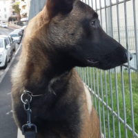Photo #275335 de MASKA