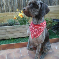 Photo #275391 de Gustave