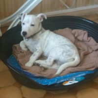 Photo #275398 de OSCAR
