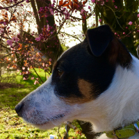 Photo #275503 de Arlo