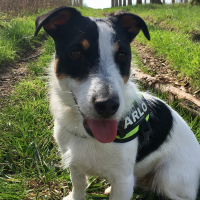 Photo #275504 de Arlo