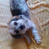 Photo #275564 de Ghismo