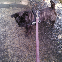 Photo #275586 de Lola