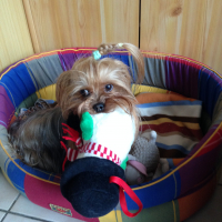Photo #275603 de Diddjy