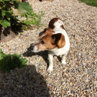Photo #275747 de Kirou