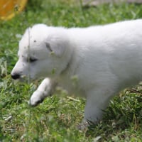 Photo #275748 de jocelyne dupon 