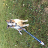 Photo #275761 de Happy 