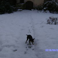 Photo #275778 de loulou