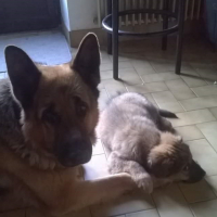 Photo #275814 de onyx
