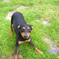 Photo #275850 de loulou