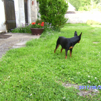 Photo #275851 de loulou