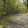 promenade avec mon meilleur ami