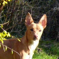 Photo #275910 de Timmy
