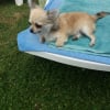 milly en mode bronzette