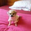 milly 3 mois