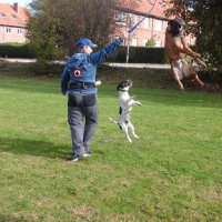 Photo #276013 de Rex