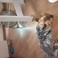 Photo #276088 de pisani Hugo