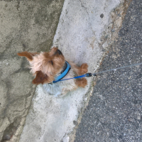 Photo #276089 de pisani Hugo