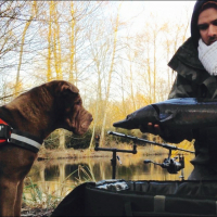Photo #276137 de Ace