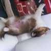 petite sieste