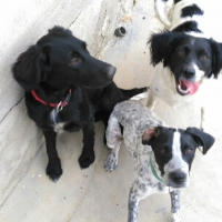 Photo #276232 de Helsy