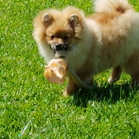 Photo #276247 de Mozart