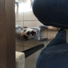 Photo #276289 de Max