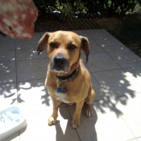 Photo #276297 de SICA