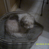 Photo #276324 de PIF