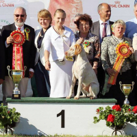 Photo #276340 de Irina du Pech du Cayrol