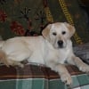 Photo #276398 de junior
